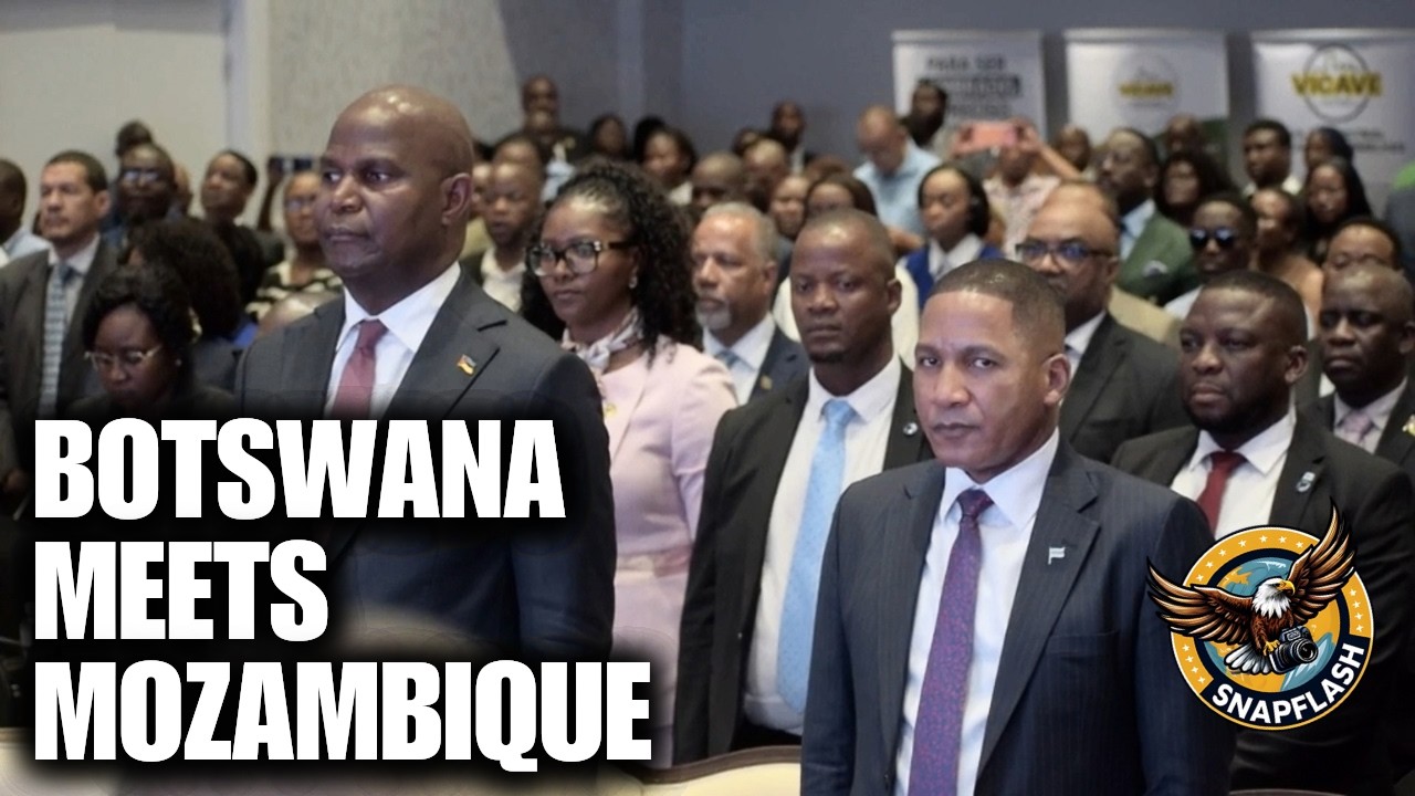 Beyond Political Friendship Inside the Botswana Mozambique Business Forum SnapFlash