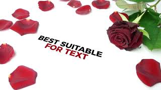 Red Roses for Valentines Day Placeholders screenshot 5