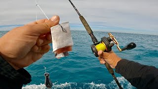 Bottom Fishing W/ Cut Bait Off The Beach! (Catch, Clean, Cook)