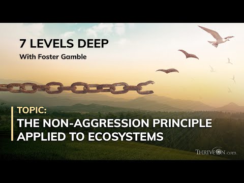 7 LEVELS DEEP Clip - The Non-Aggression Principle Applied to Ecosystems