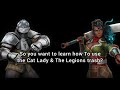 Learn How to Use Ironclad &amp; Yukka! | Shadow Fight Arena