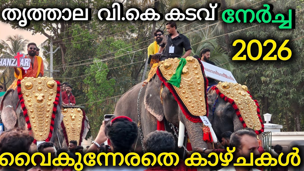V.K kadavu nercha 2026  തൃത്താല വി.കെ കടവ് നേർച്ച നിരവധി ഗജവീരന്മാർ അണിനിരക്കുന്ന നേർച്ച 2026