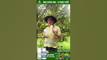 Bộ Đôi Sinh Học Bacte Vàng Đen Dứt Điểm Tuyến Trùng, Lành Nhanh Nứt Thân Xì Mủ