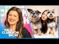 Kelly Clarkson Loves Adorable Dog Photos Helping Rescues Get Adopted