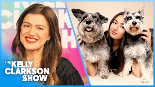 Kelly Clarkson Loves Adorable Dog Photos Helping Rescues Get Adopted