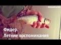 WhiteRiverUfa. Фидер. Летние воспоминания