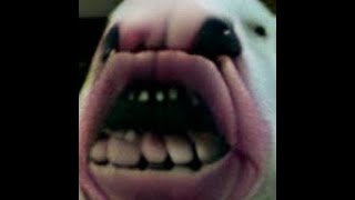 yo 2