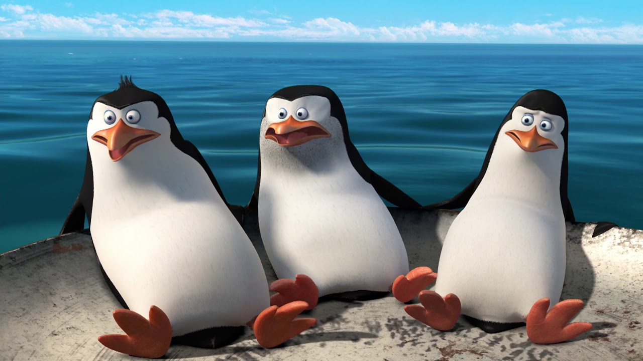 ⁣DreamWorks Madagascar em Português | Dança tapa | Os Pinguins de Madagascar | Desenhos Animados
