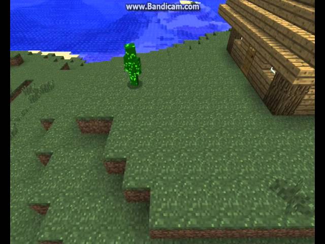 Bild från A minecraft thief!