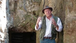 Professor Lee Berger describes Homo naledi find