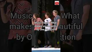 5 facts about One direction What makes you beautiful you can't miss #shorts #live #musicfacts