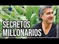 Aprende los secretos mentales de los millonarios l Pablo Gómez