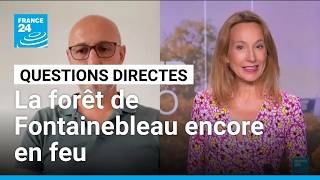 La forêt de Fontainebleau encore en feu • FRANCE 24