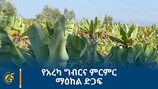 የአረካ ግብርና ምርምር ማዕከል ድጋፍ
