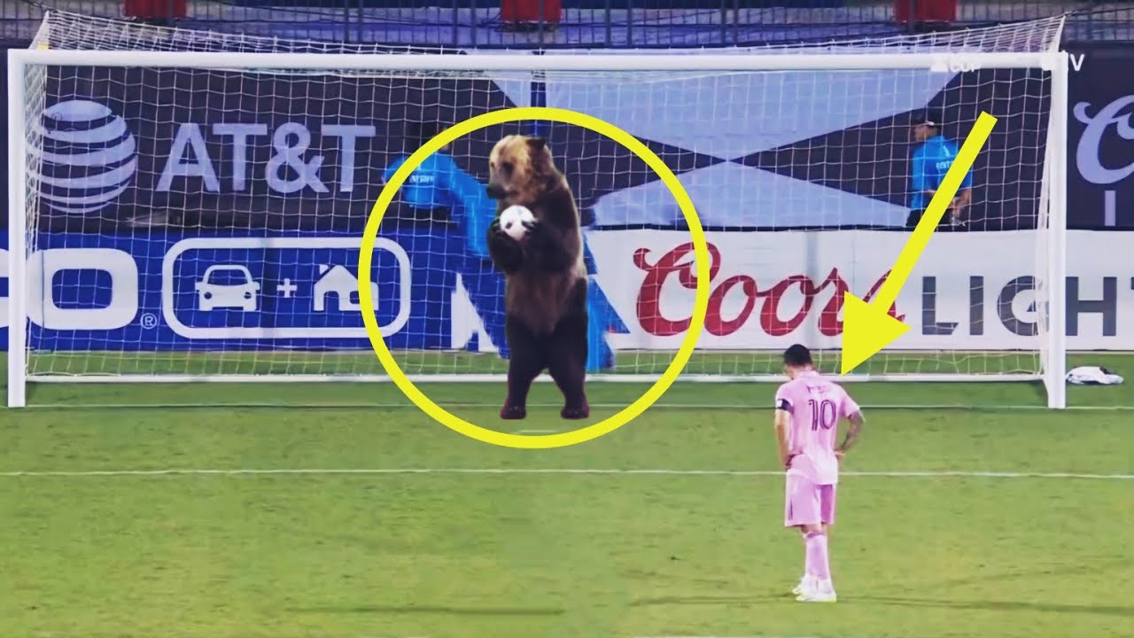 zoo footie main image 1