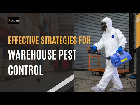 How To Control Pest In A Warehouse