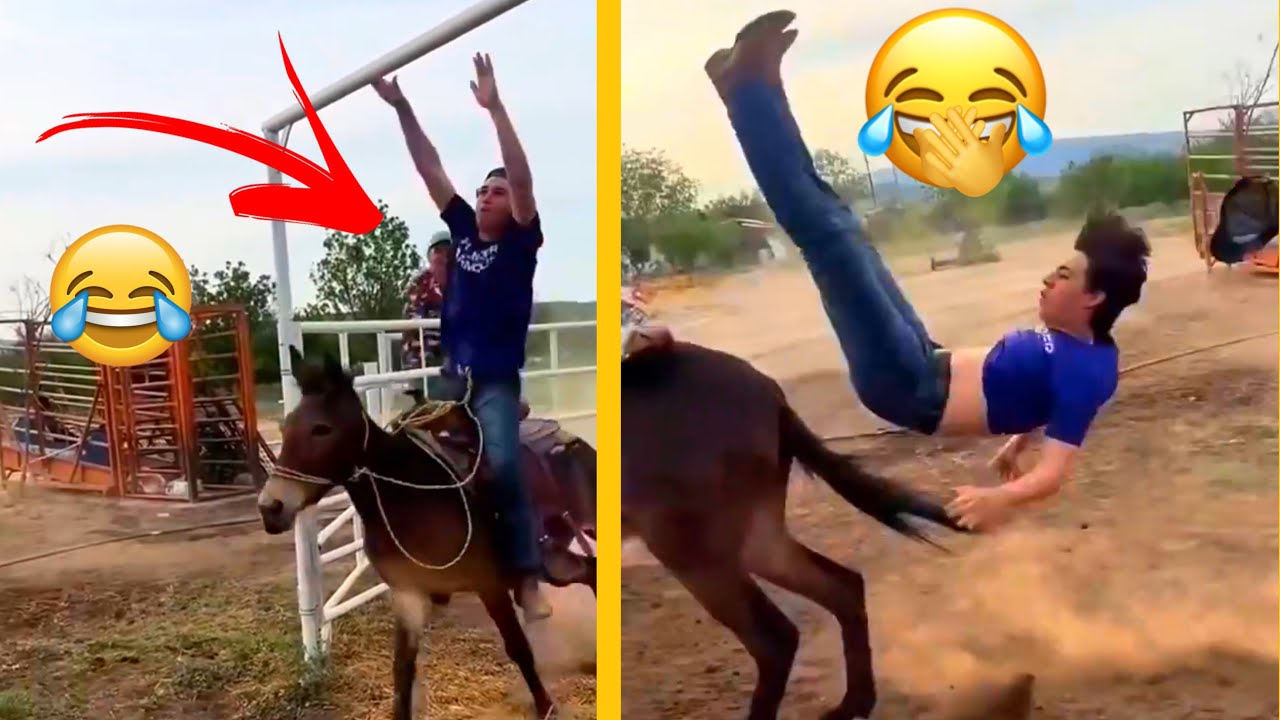 Попробуйте не засмеяться 😂 Самые безумные и смешные видео всех времён || Мемы, эпические фейлы и ...