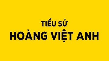 Tiểu sử  Hoàng Việt Anh Chủ tịch FPT Digital