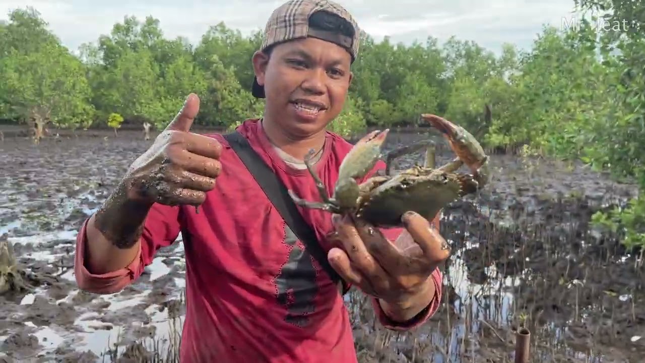 Amazing Catching Giant Mud Crabs In Muddy after Low Tide | Fishing A Lot Of Mud Crabs