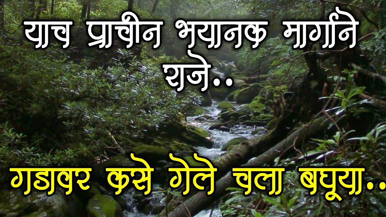 हाच तो प्राचीन मार्ग या मार्गाने राजे विशाळगडला कसे गेले चला बघूया | marathi vlog..