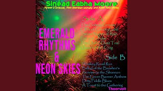 The Galway Groove!(An explosive introduction to the fusion sound. It captures the immediate, adrenaline-fueled joy of stepping into a session or festival, where tradition meets modern urban rhythm.) (feat. Sinéad Eabha Moore) - Thorrvolt