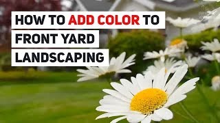 6 Ways to Add Color to your Front Yard Landscaping