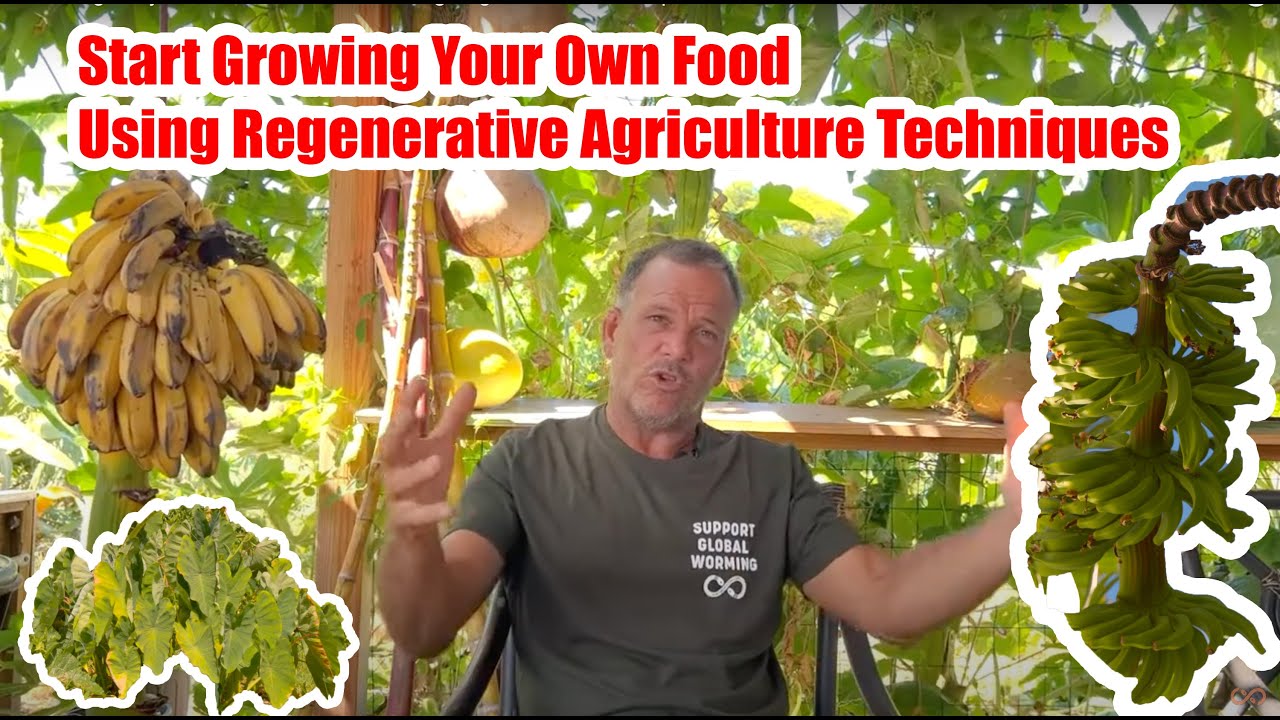 How to grow your own food at home using Sustainable Regenerative ...
