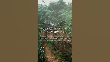 ( ٱللّه لطيف بِعباده ) سورة الشورى الآيه 19 قرآن _ Quran.