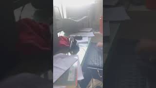 VID 20230206 WA0016