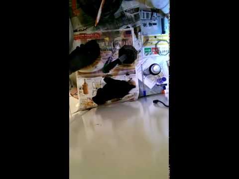 OXO Stainless Steel Dish Sink Drying Rack Drainer Utensil Holder