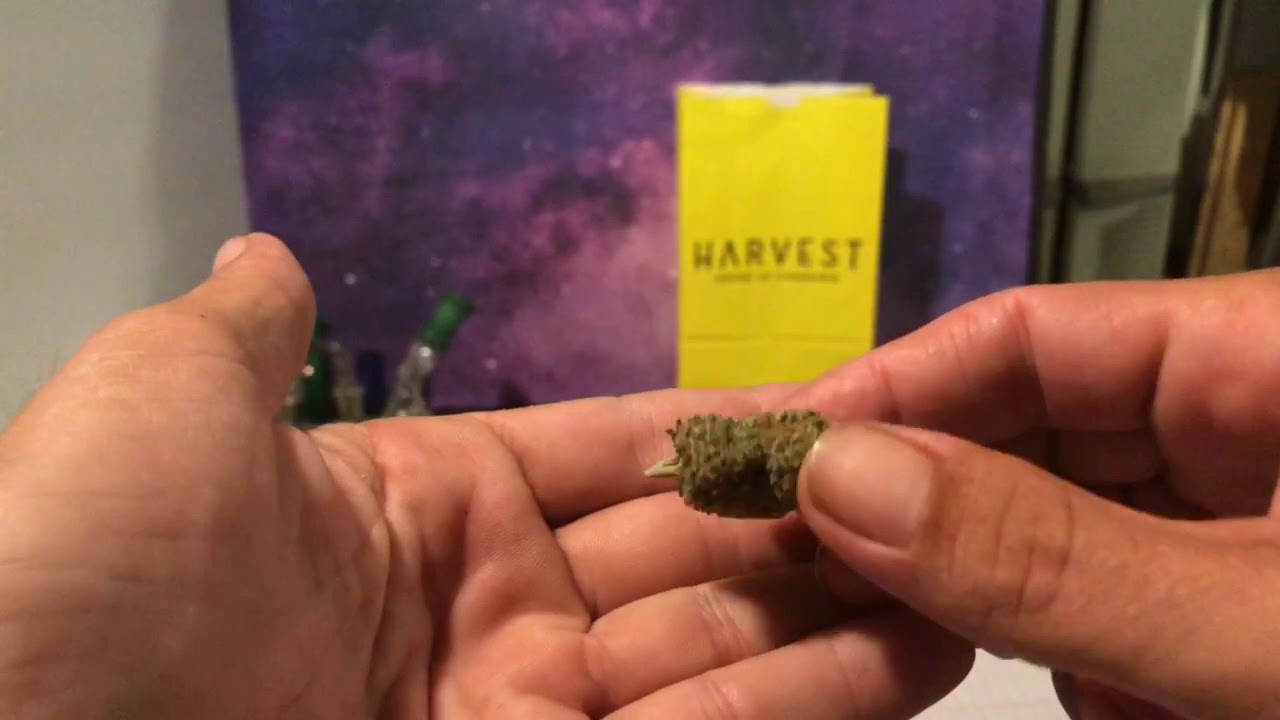 Harvest House Of Cannabis Flower 🌸 Haul Florida Medical Cannabis Review