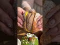 小山で話題の4時間で完売する生ドーナツ