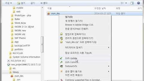 visual SVN Server settings and Checkout