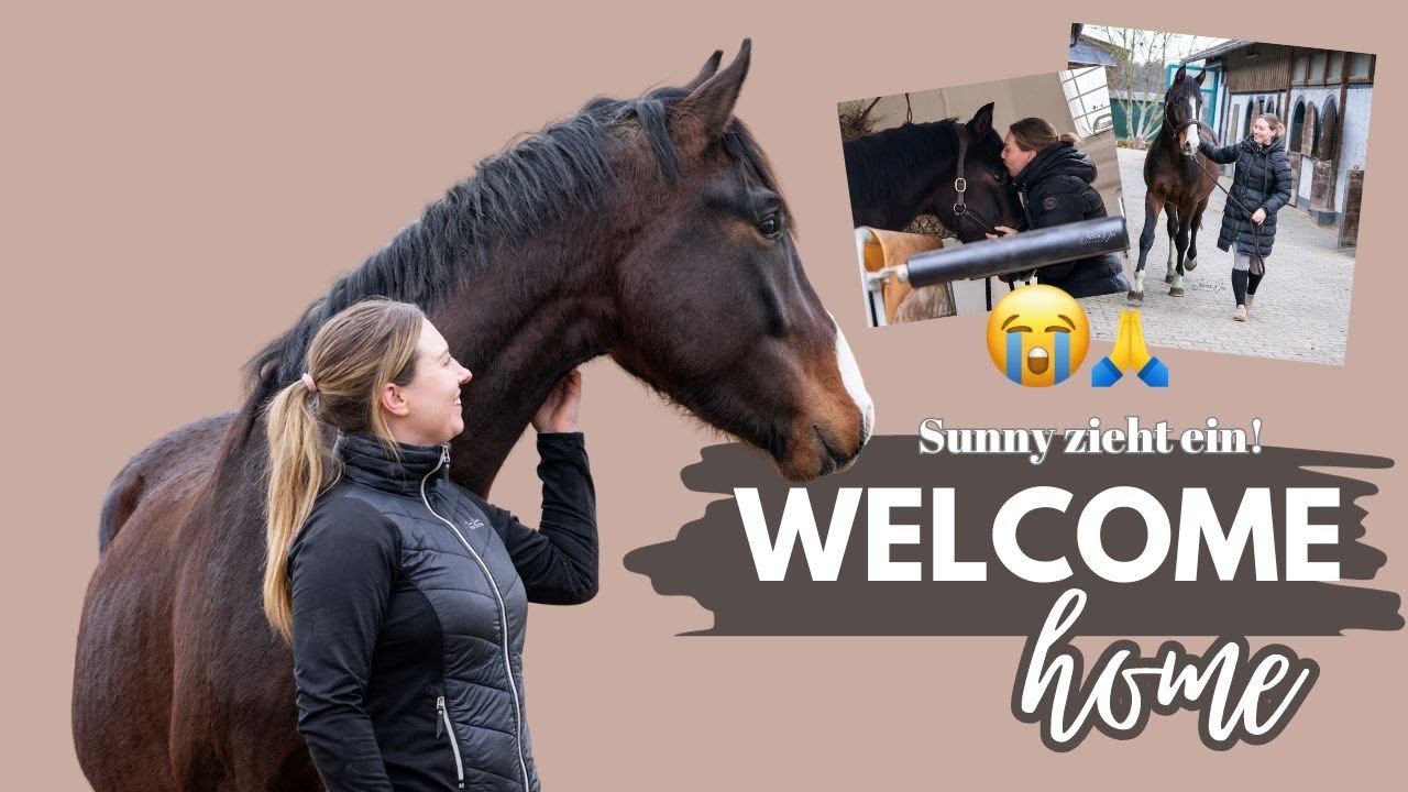 Wir holen mein neues Pferd ab! 😍