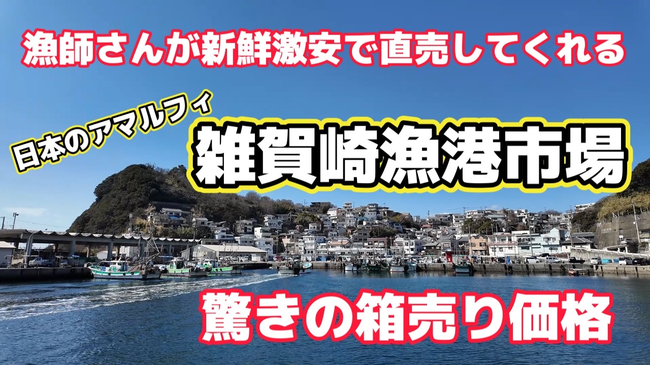【雑賀崎漁港】和歌山県にある 世界一安い魚直売　激安‼ 一般人も漁師さんも通う凄い市場