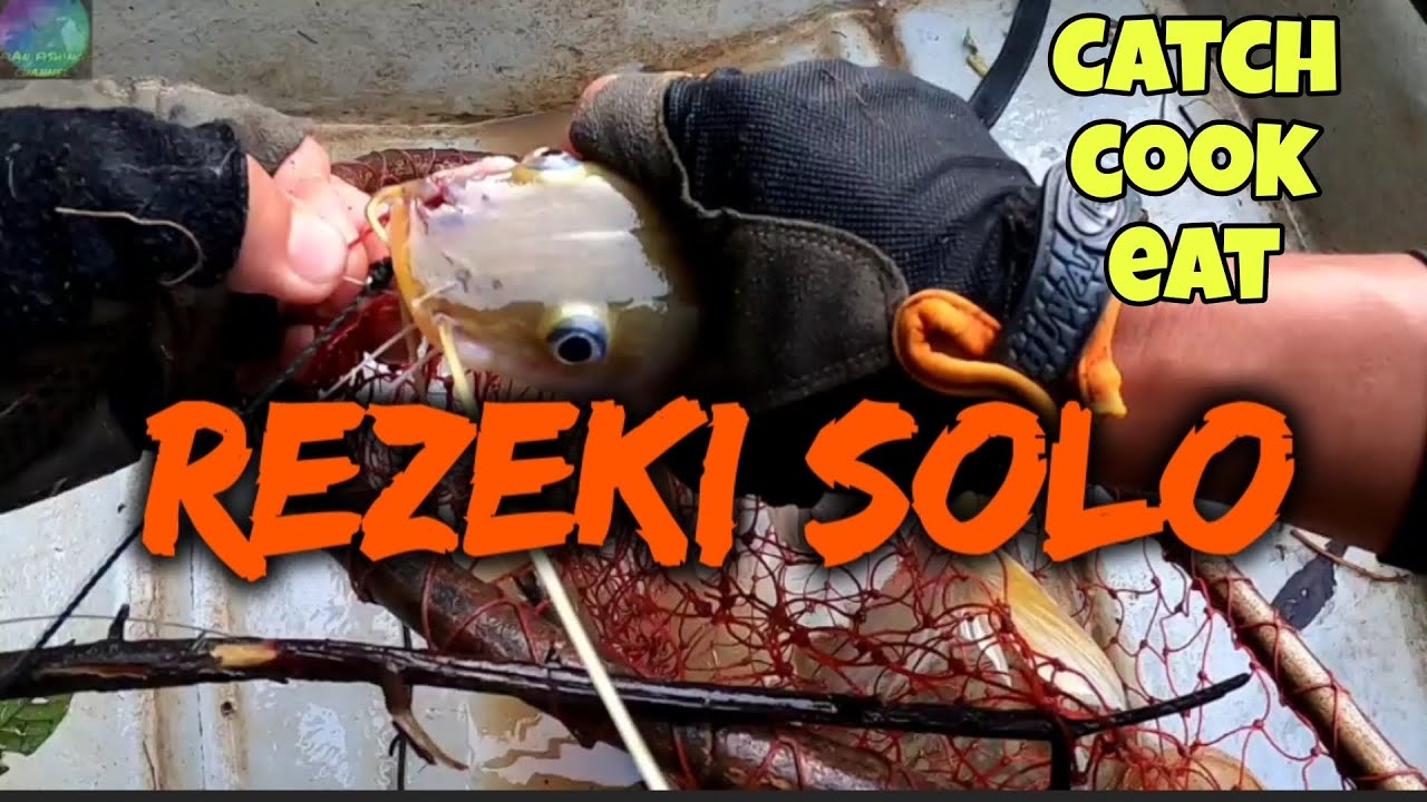 SOLO PON JADI MENJARING VS TAJUR....