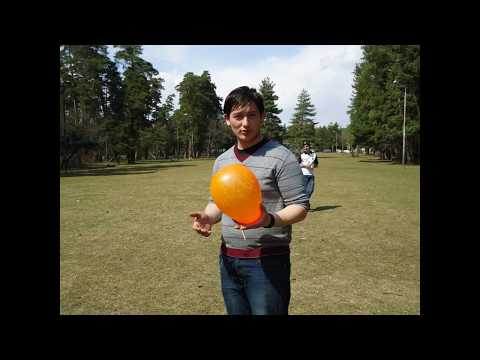 გაბროს ხსოვნას