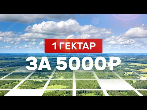 Как получить 1 Га земли за 5000 руб. Лесной участок под пчеловодство 2020. Аренда лесного участка