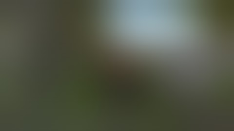 MAKE SECOND LIFE GESTURES!!