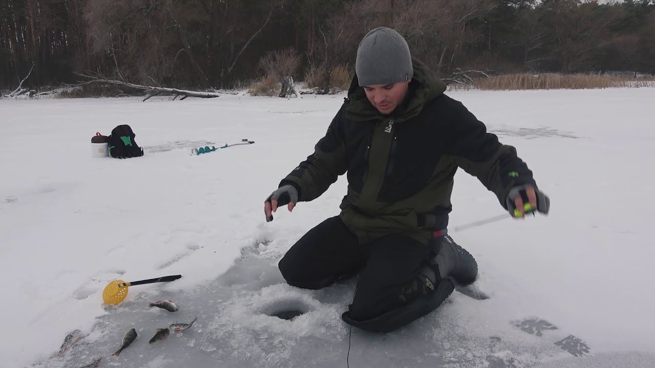 Офигеть!!! Сколько рыбы под бревном! РЫБАЛКА ЗИМОЙ в МЕЛКОМ ЗАЛИВЕ с БАЛДОЙ