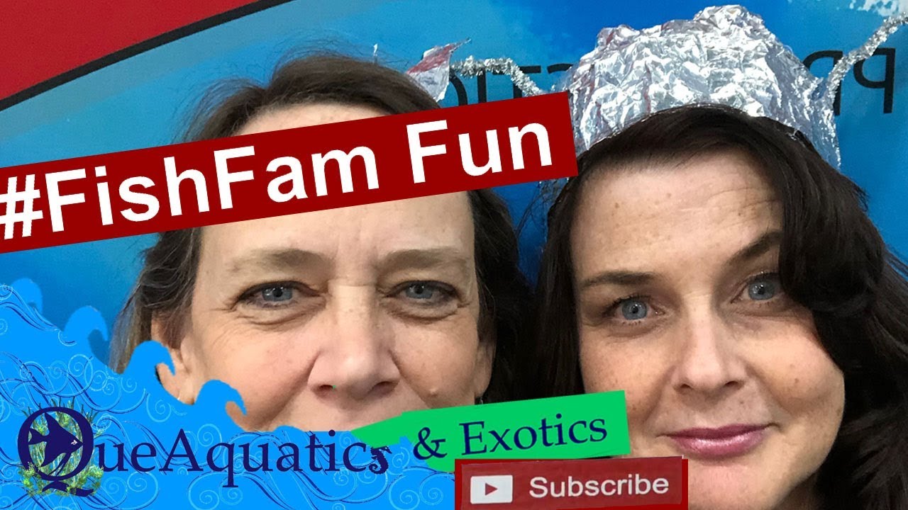 ponds at bayberry Aquatic Experience 2018 Montage - Part I