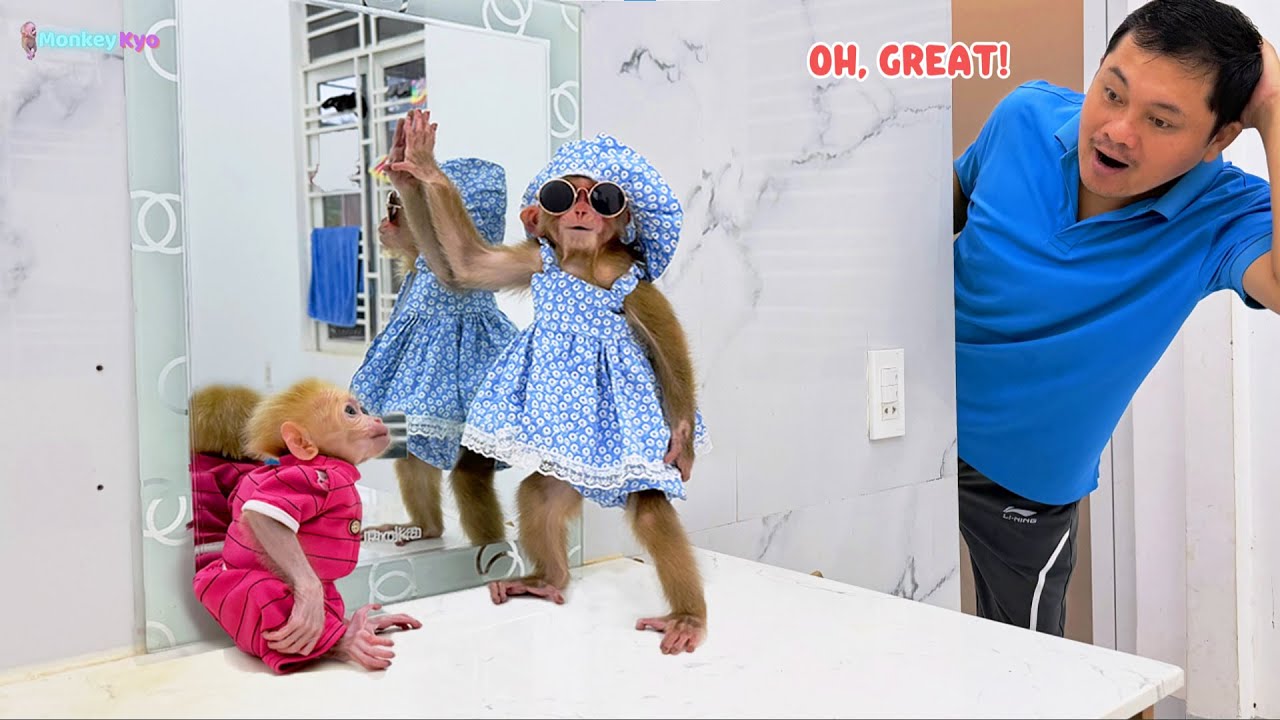 You’ll laugh nonstop! Kyo and BuNa’s funniest mirror reaction ever! 😂