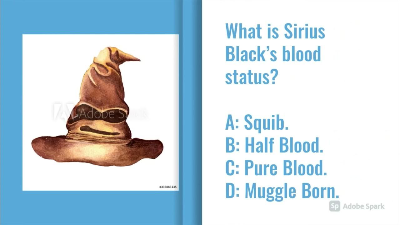 Harry Porter Blood Status Quiz YouTube