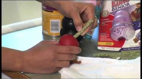 How to Stuff a Kong for Your Dog