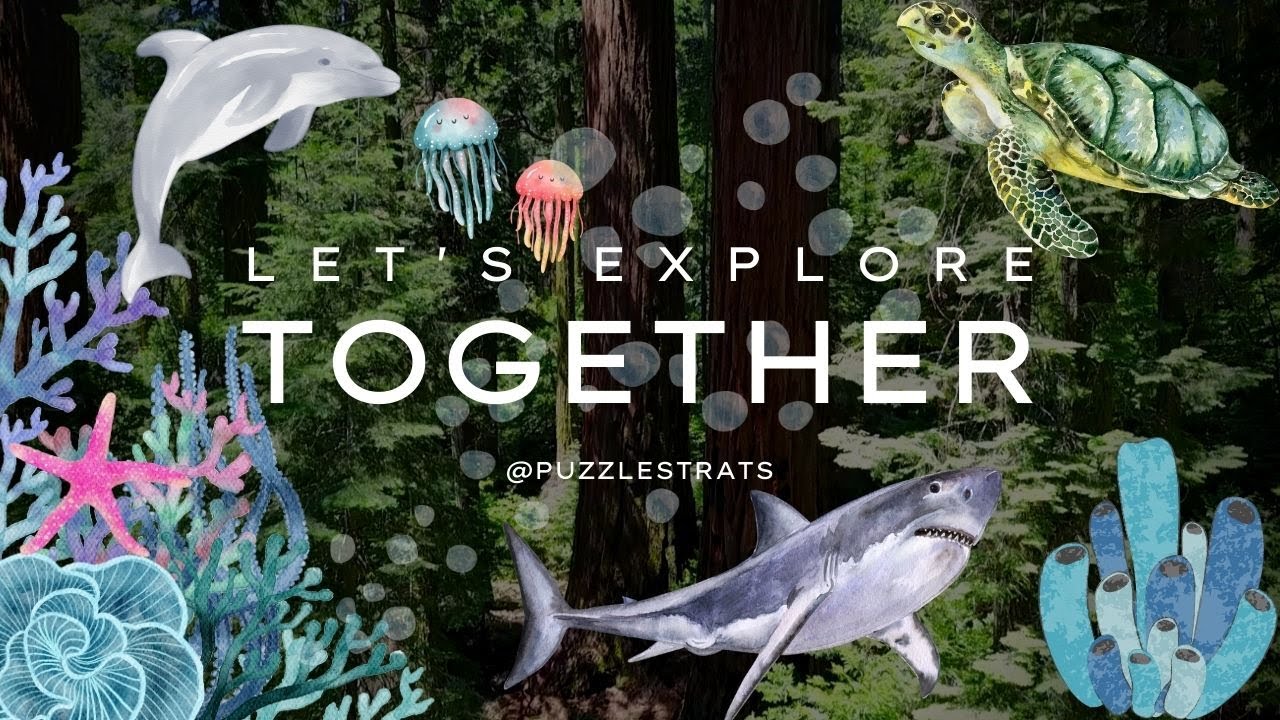 Underwater Mystery: Guess the Sea Creature (Upbeat Tunes)