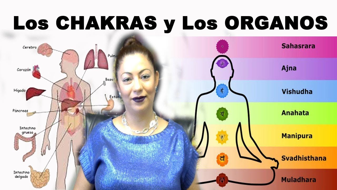 Los Chakras y Los Organos Humanos YouTube Los Chakras y Los Organos Humanos YouTube
