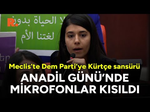 Anadili Günü'nde Meclis'te DEM Partili vekile Kürtçe sansürü: Mikrofonlarının sesi kısıldı