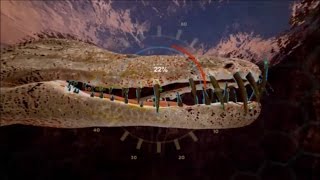 ALTERNATE REALITY  | TIME MACHINE VR | PART 6
