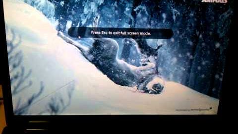 Ubuntu 10.04.3 flash on 2.6.33-34 kernel; compiz