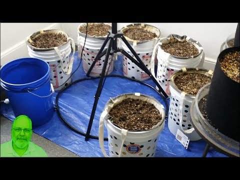 Alaska Grow Bucket System - with Automatic Watering - Bottom Wicking